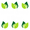 Herbal creams and balms