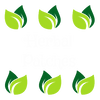 Herbal patches