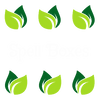 Spell boxes