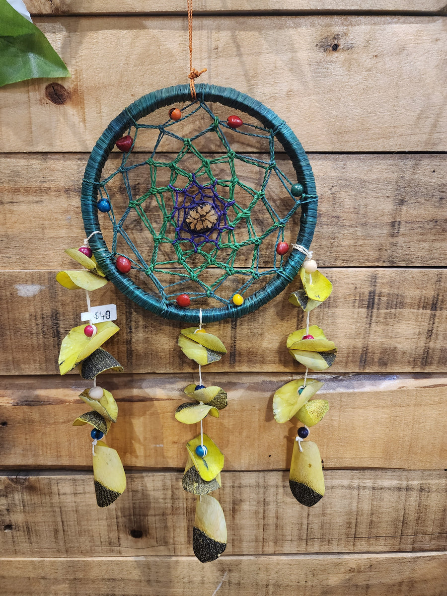 Dreamcatcher Ayahuasca