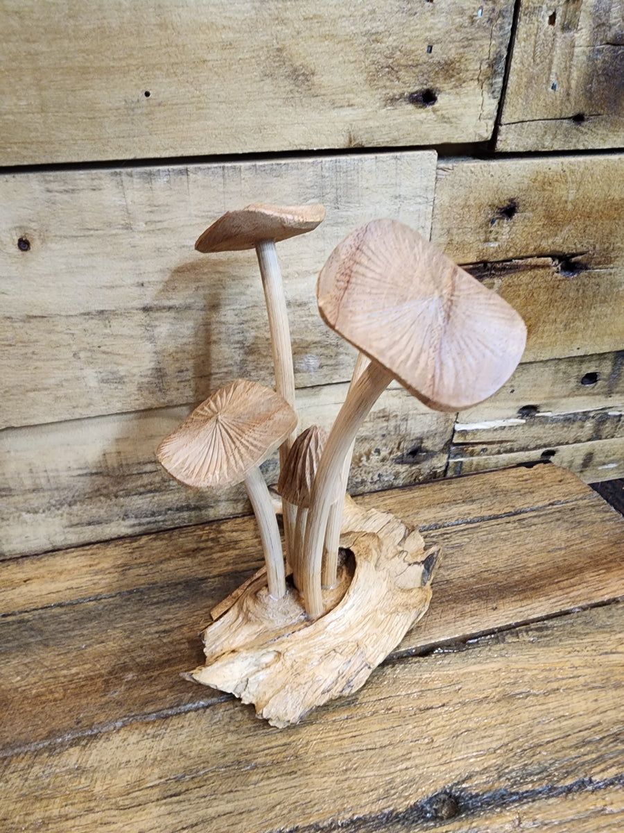 Mushrooms - Wood Carving