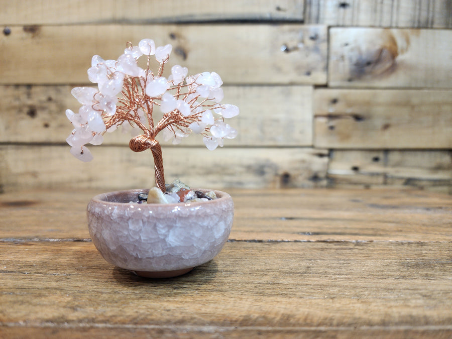 Crystal Tree - In Pot