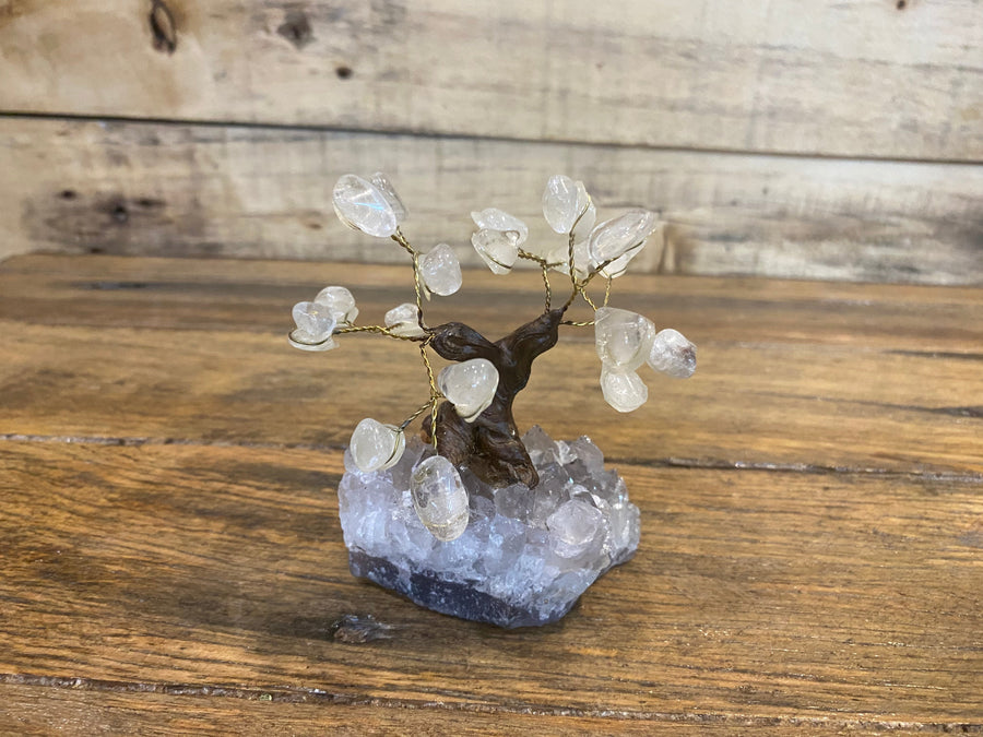 Assorted Crystal Trees - Amethyst Base