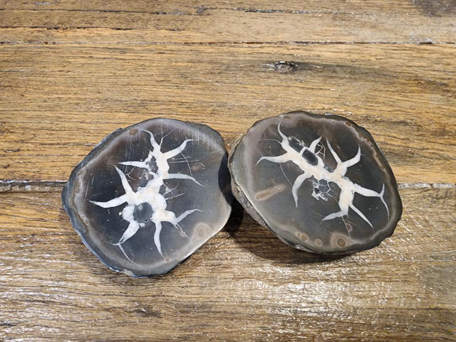 Septarian Pair