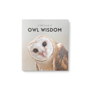 Little Book of Owl Wisdom
