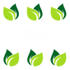 Charts