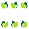 Liquids