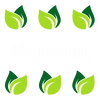 Magnesium