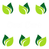 Oral Care