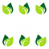 Ponchos
