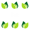 Salt