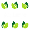Salt lamps