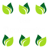 Tea Accessories