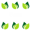 Boxes