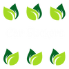 Car Stickers