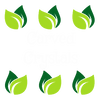 Carved Crystals