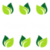 Chakra Teas