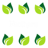 Feathers