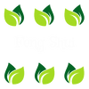 Feng Shui