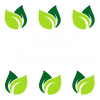 Incense Accessories