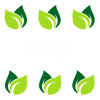 Lamps
