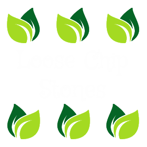 Loose Chip Stones