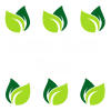 Loose Leaf Teas