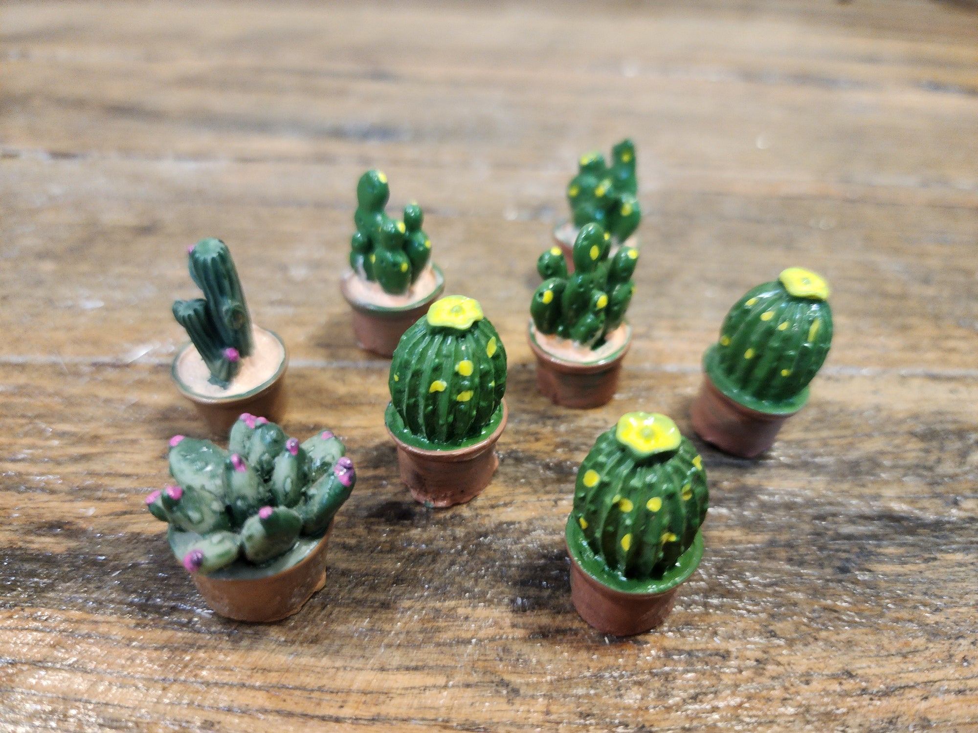 Mini Cacti Assorted