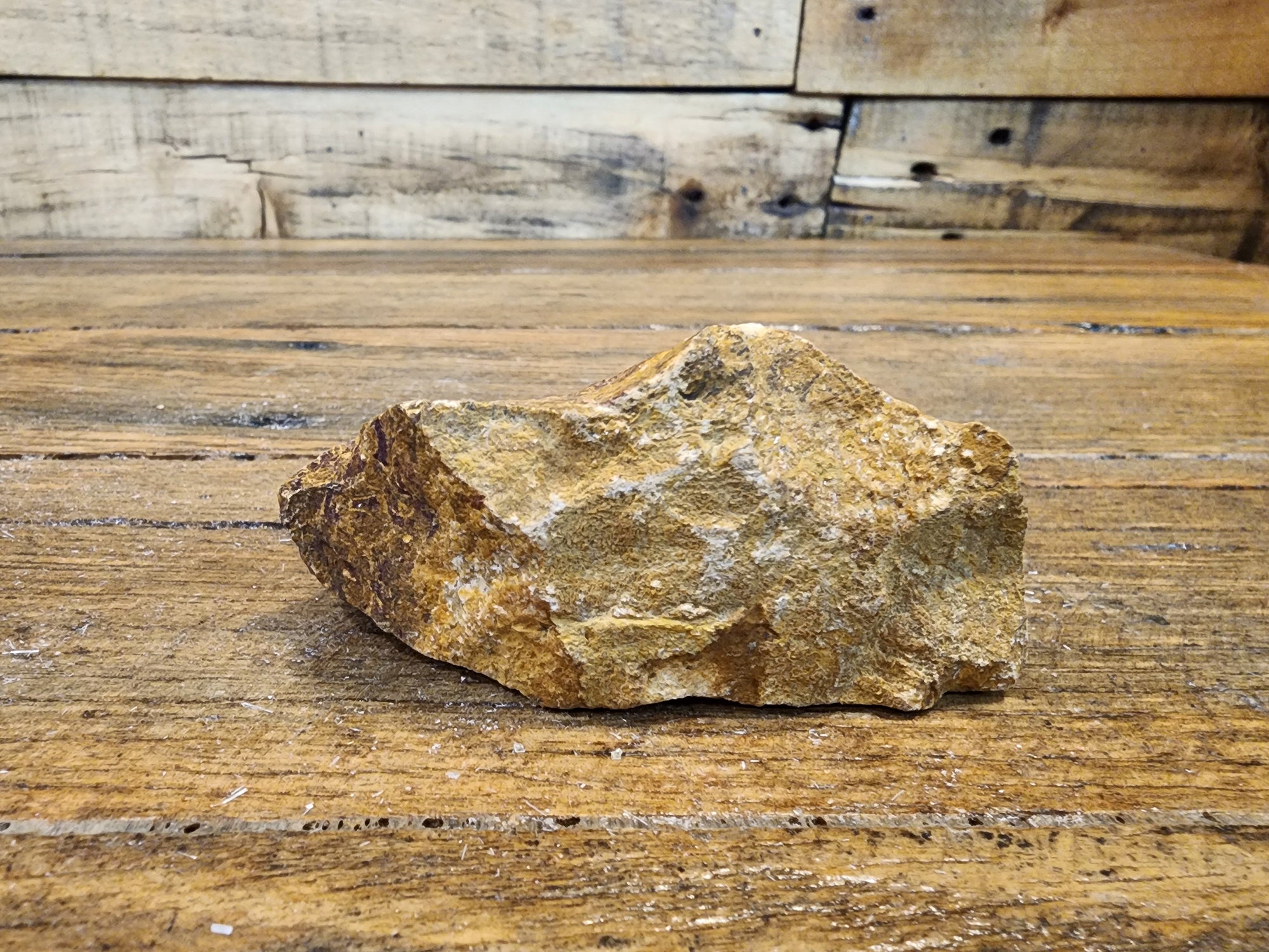 Elephant Jasper Raw