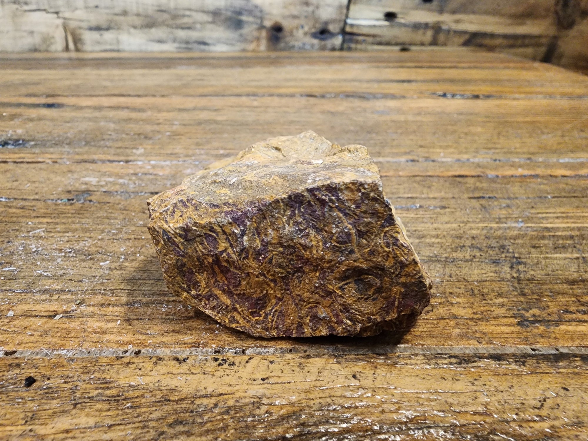 Elephant Jasper Raw