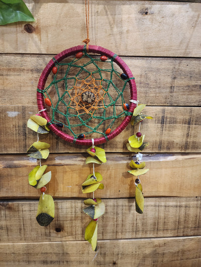 Dreamcatcher Ayahuasca