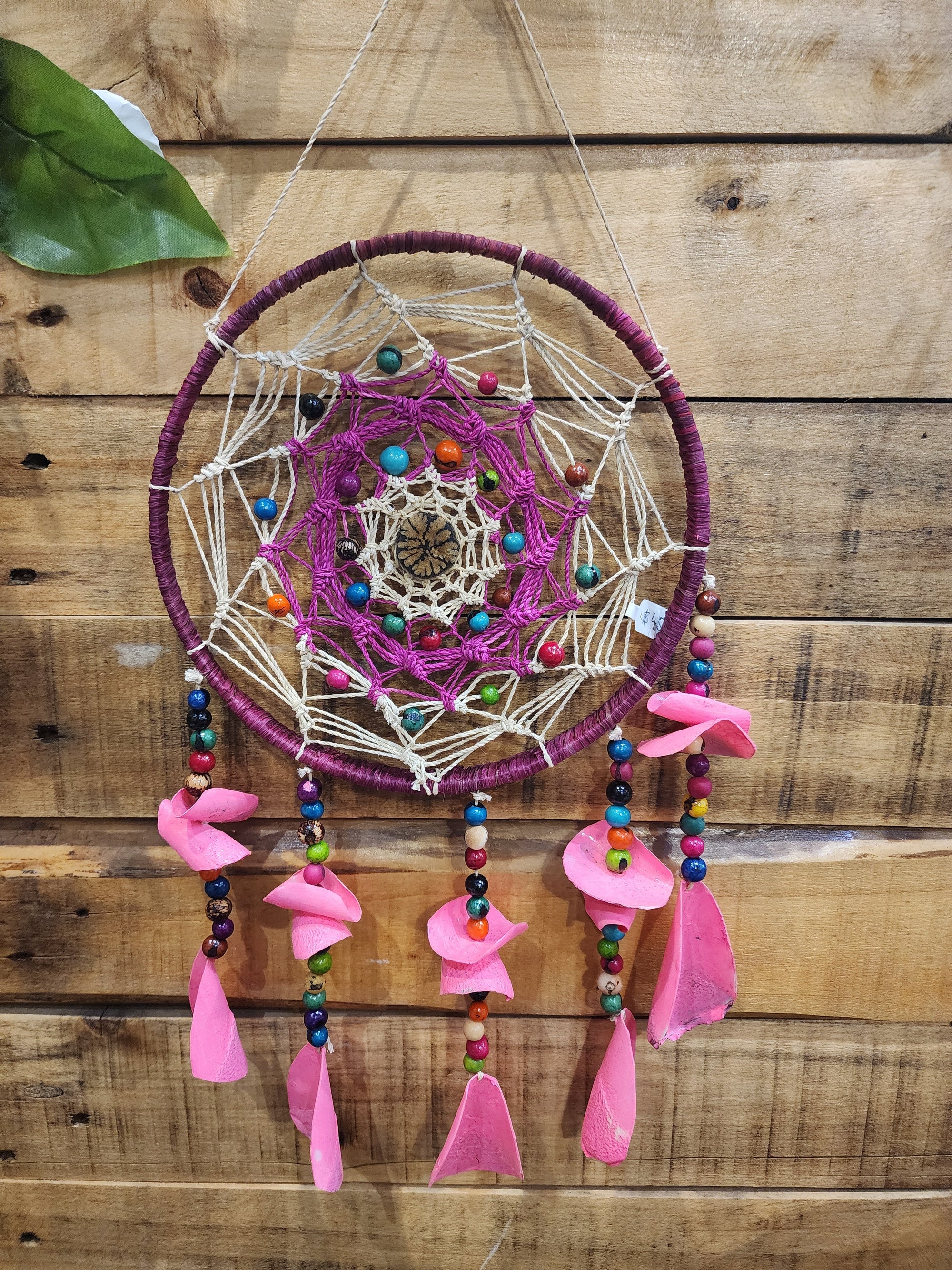 Dreamcatcher Ayahuasca