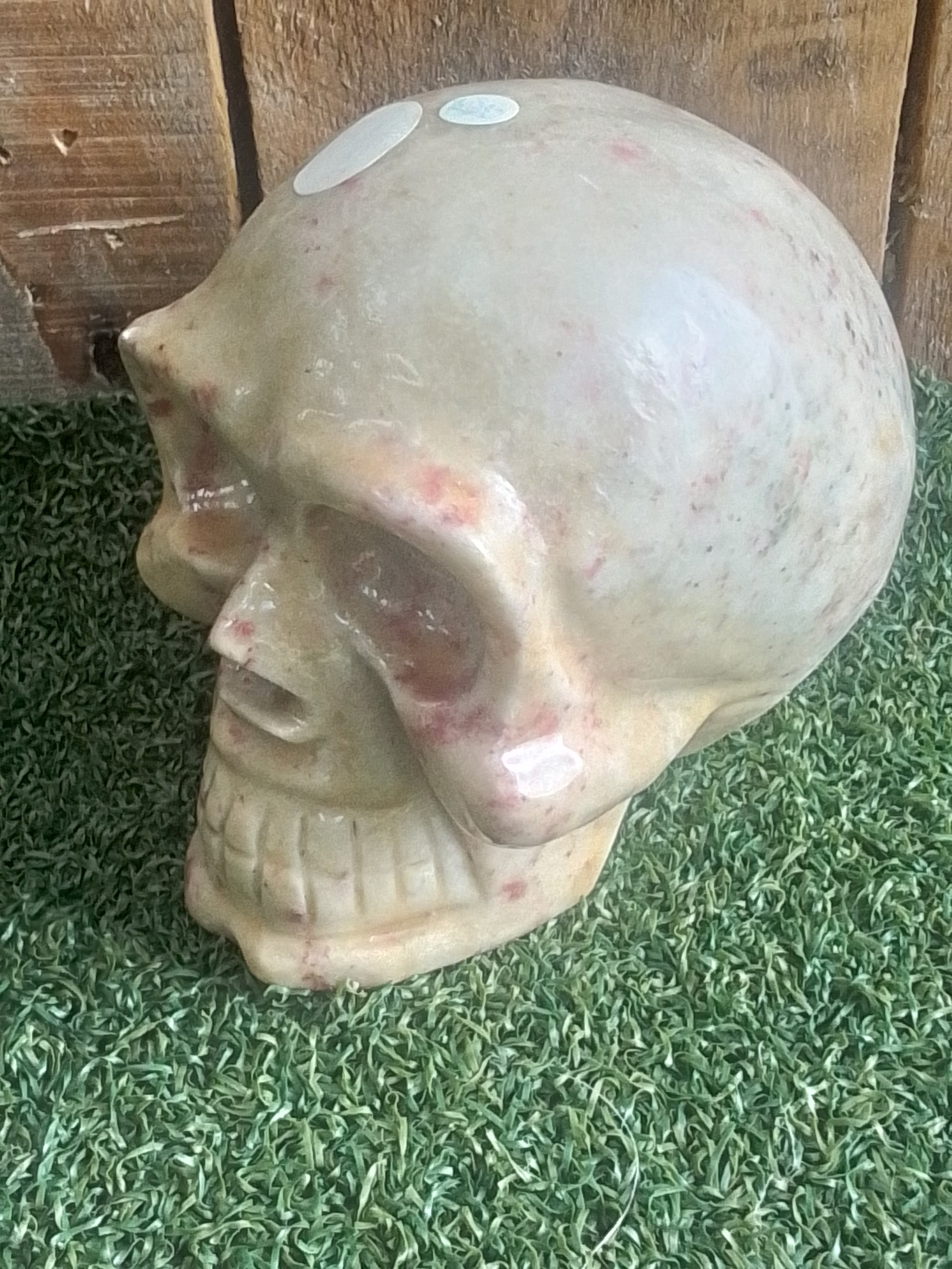 Cinnabrite Skull Medium