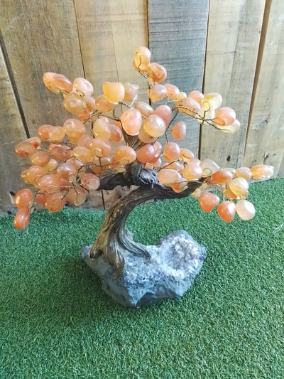 Crystal tree carnelian and amethyst