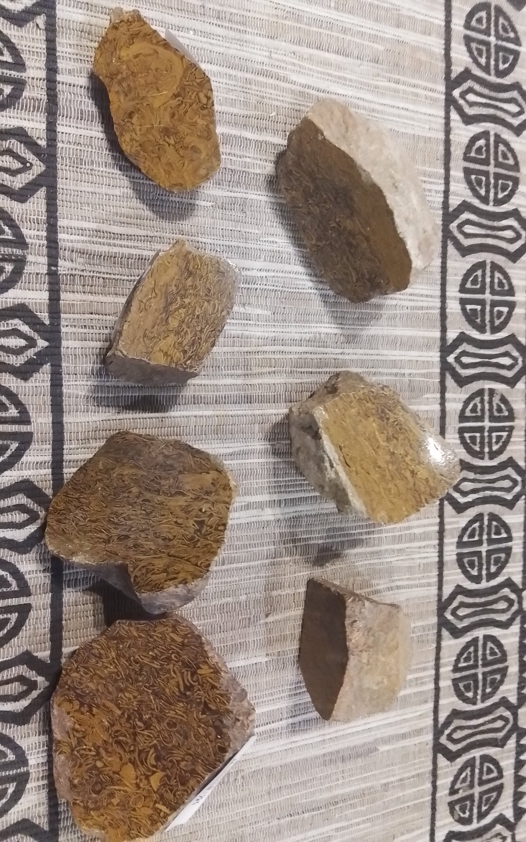 Crystal Raw Elephant Jasper with Polished Side