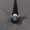 Ring - Kyanite - Assorted