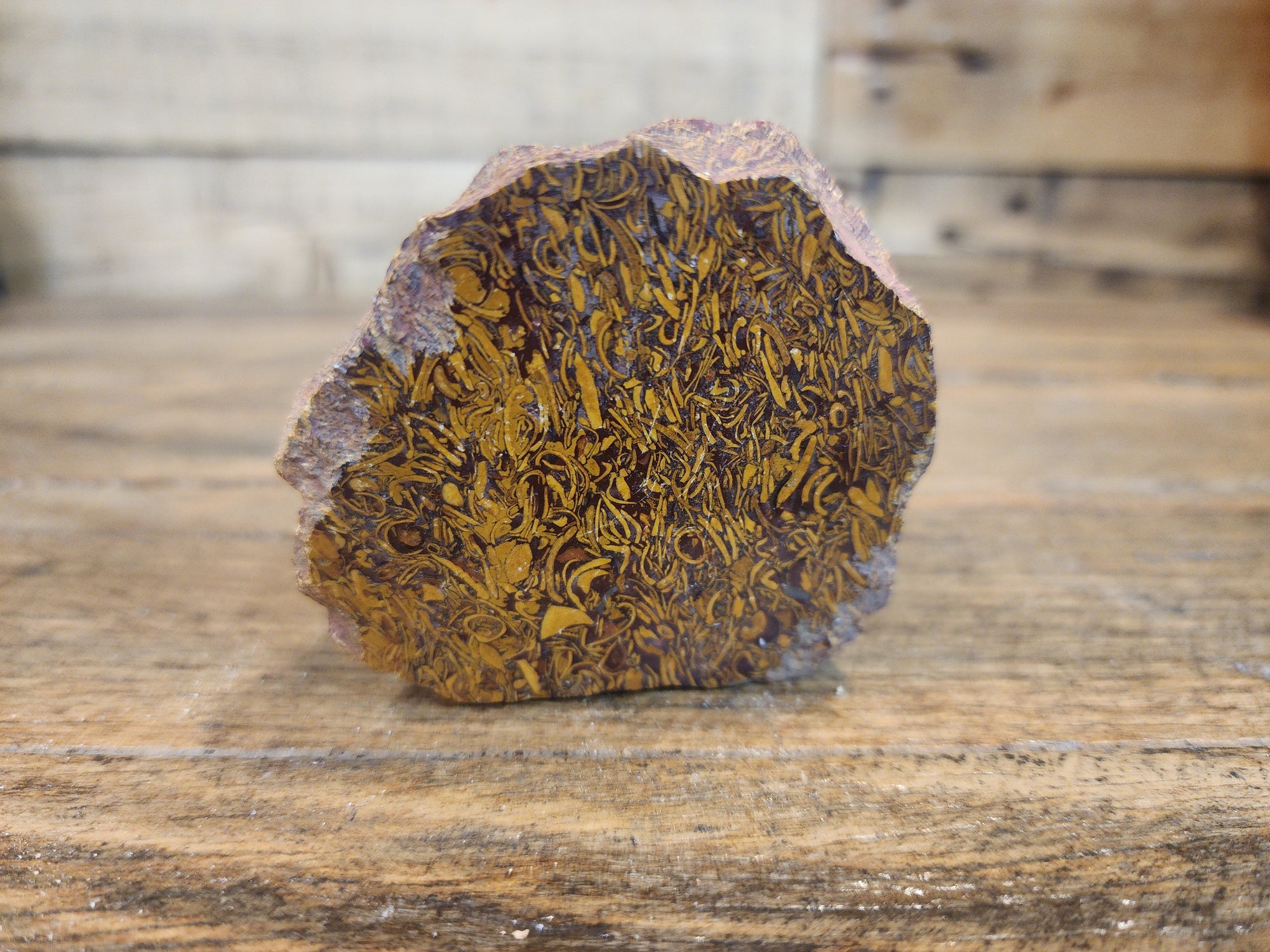 Elephant Jasper Raw