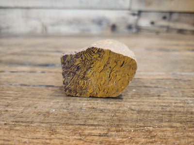 Elephant Jasper Raw