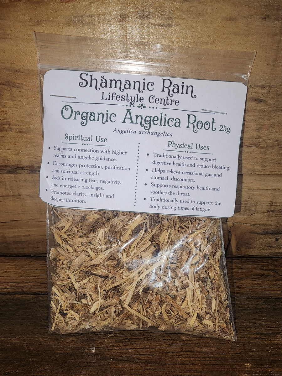 Herbs - Angelica Root