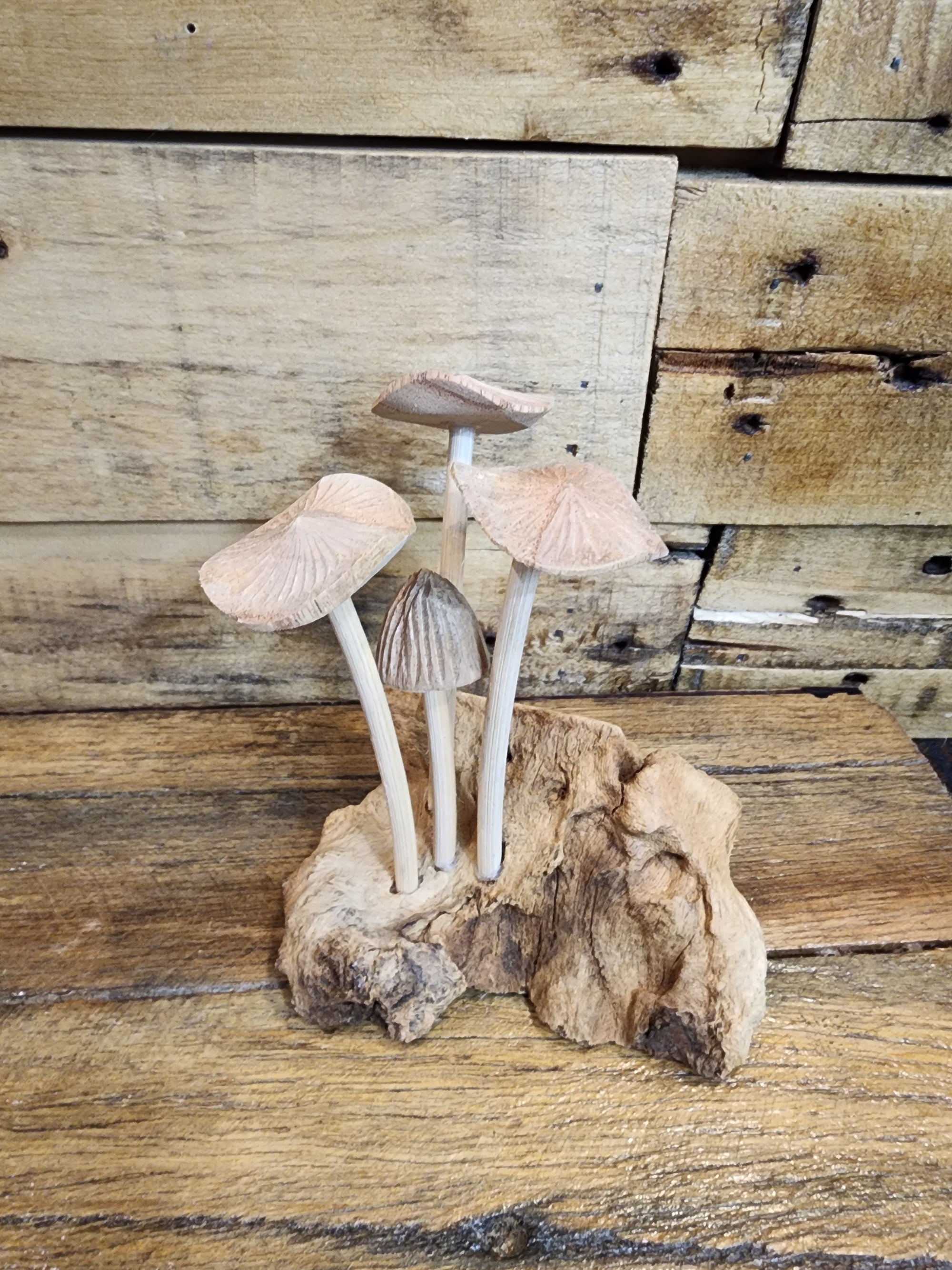 Mushrooms - Wood Carving