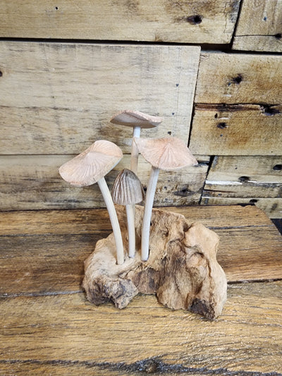 Mushrooms - Wood Carving