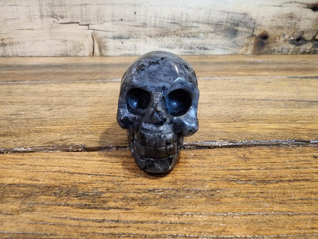 Assorted Crystal Skulls - Large