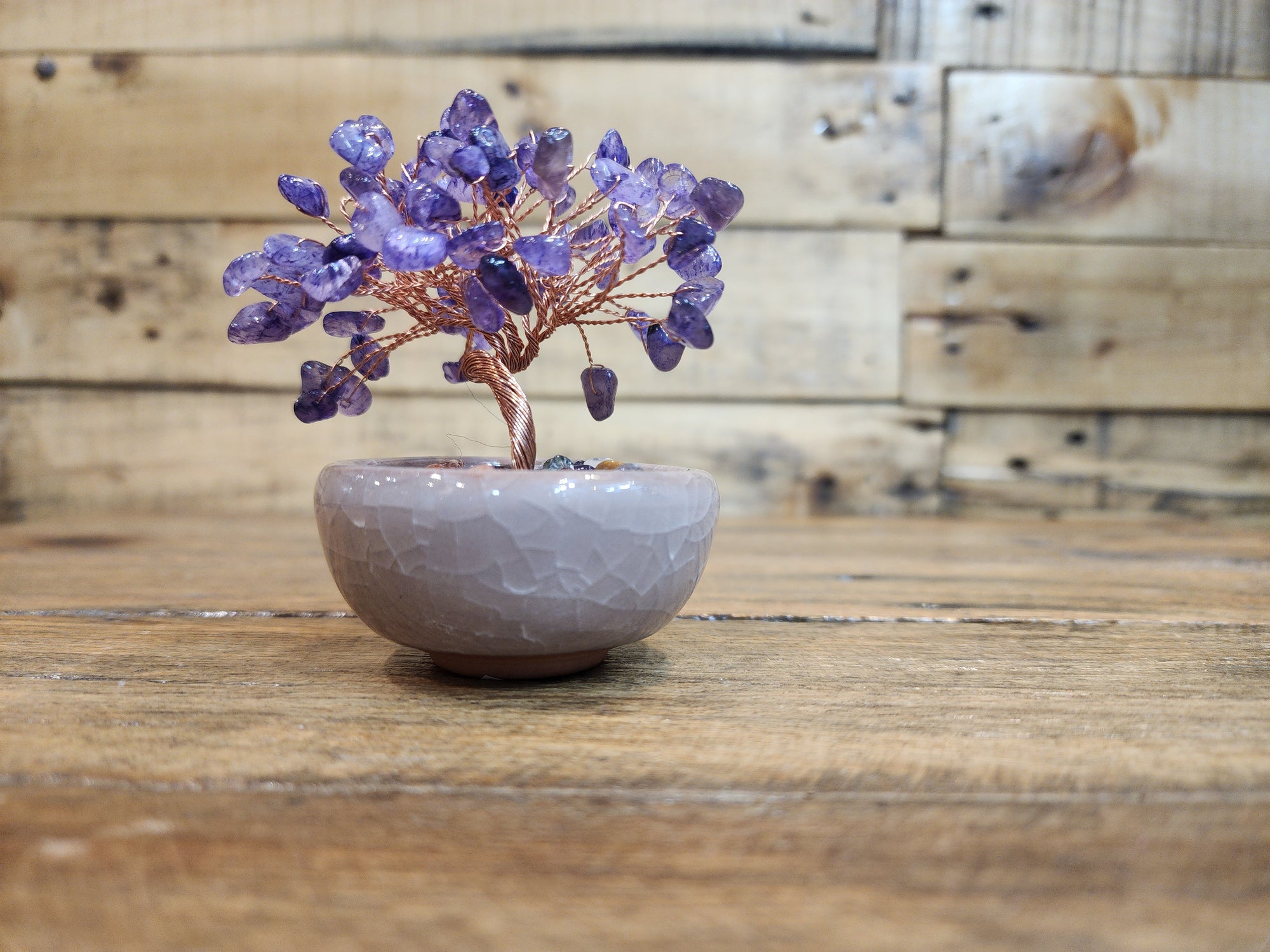 Crystal Tree - In Pot