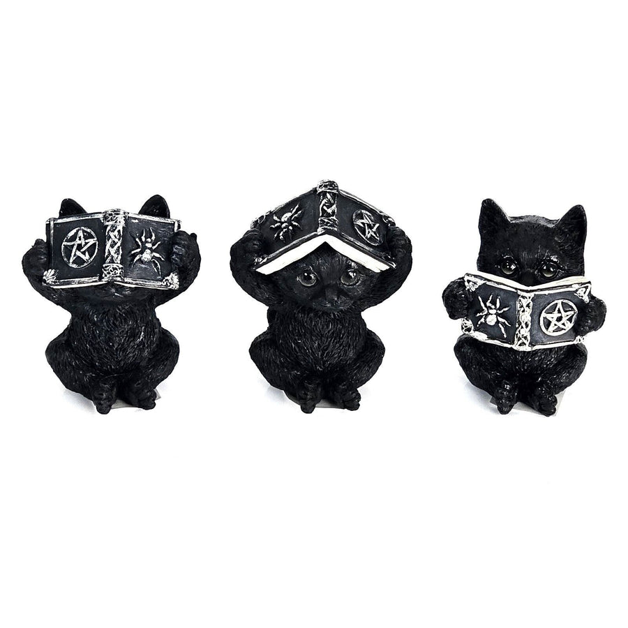 Statue - Black Wise Cats with Spell Book - Assorted
