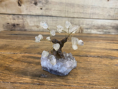 Assorted Crystal Trees - Amethyst Base