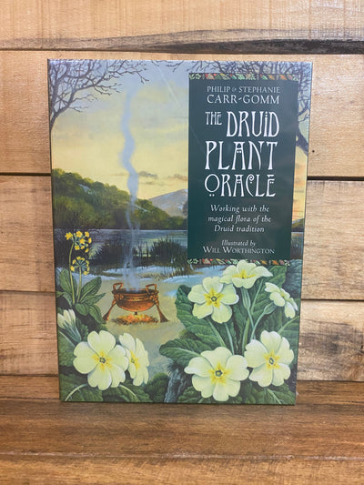 Oracle Cards