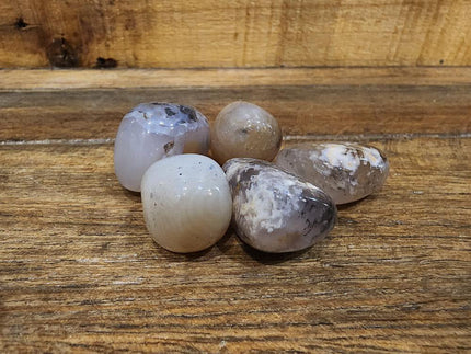 Dendritic Agate