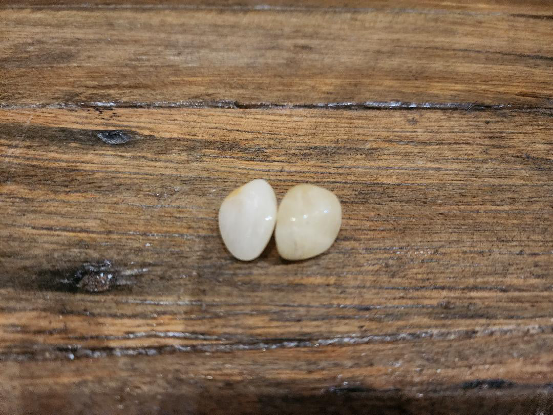 Tumbled Stone