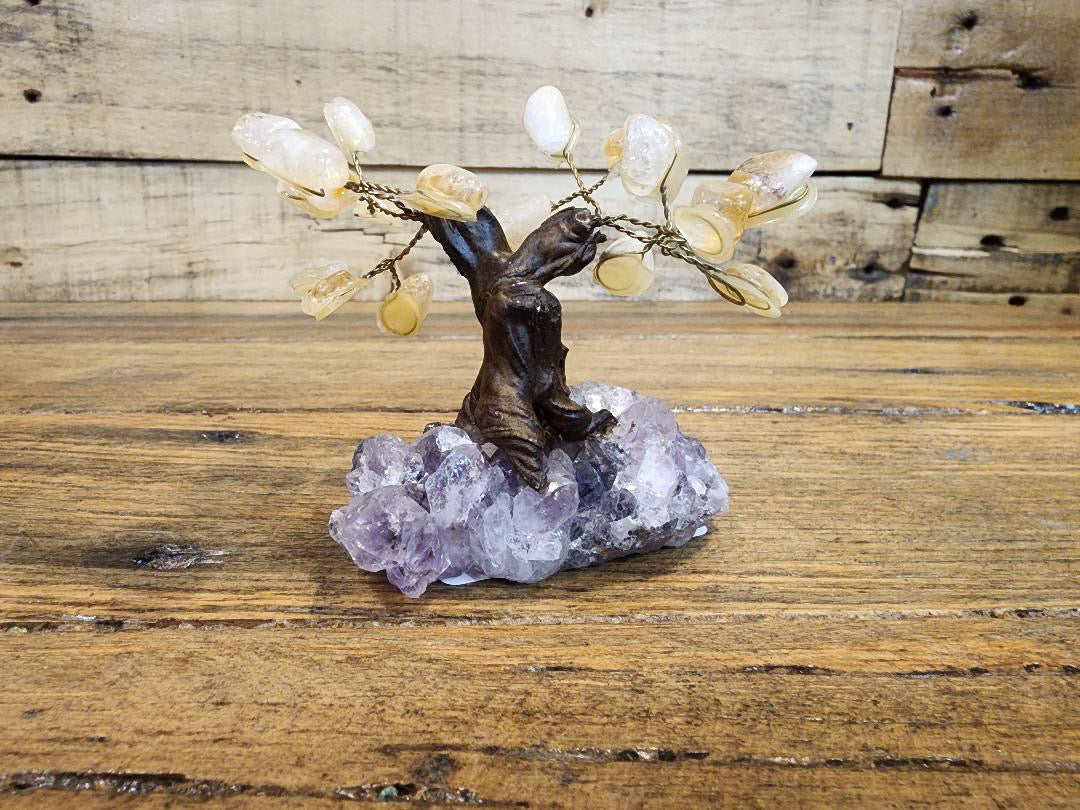 Assorted Crystal Trees - Amethyst Base