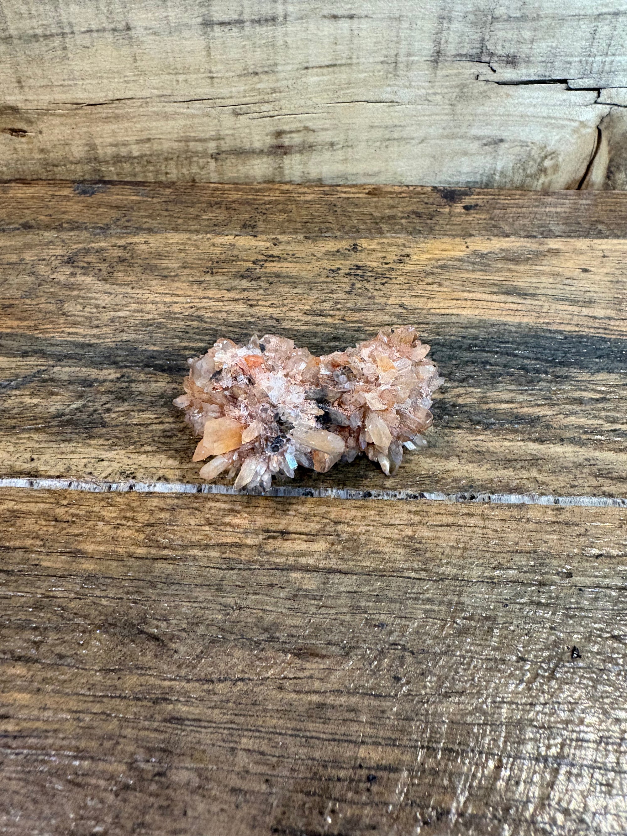 Creedite